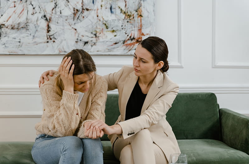 The Support-Seeking Phase